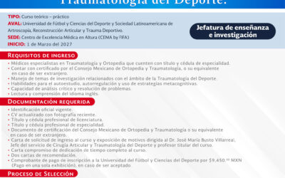 miniatura del curso