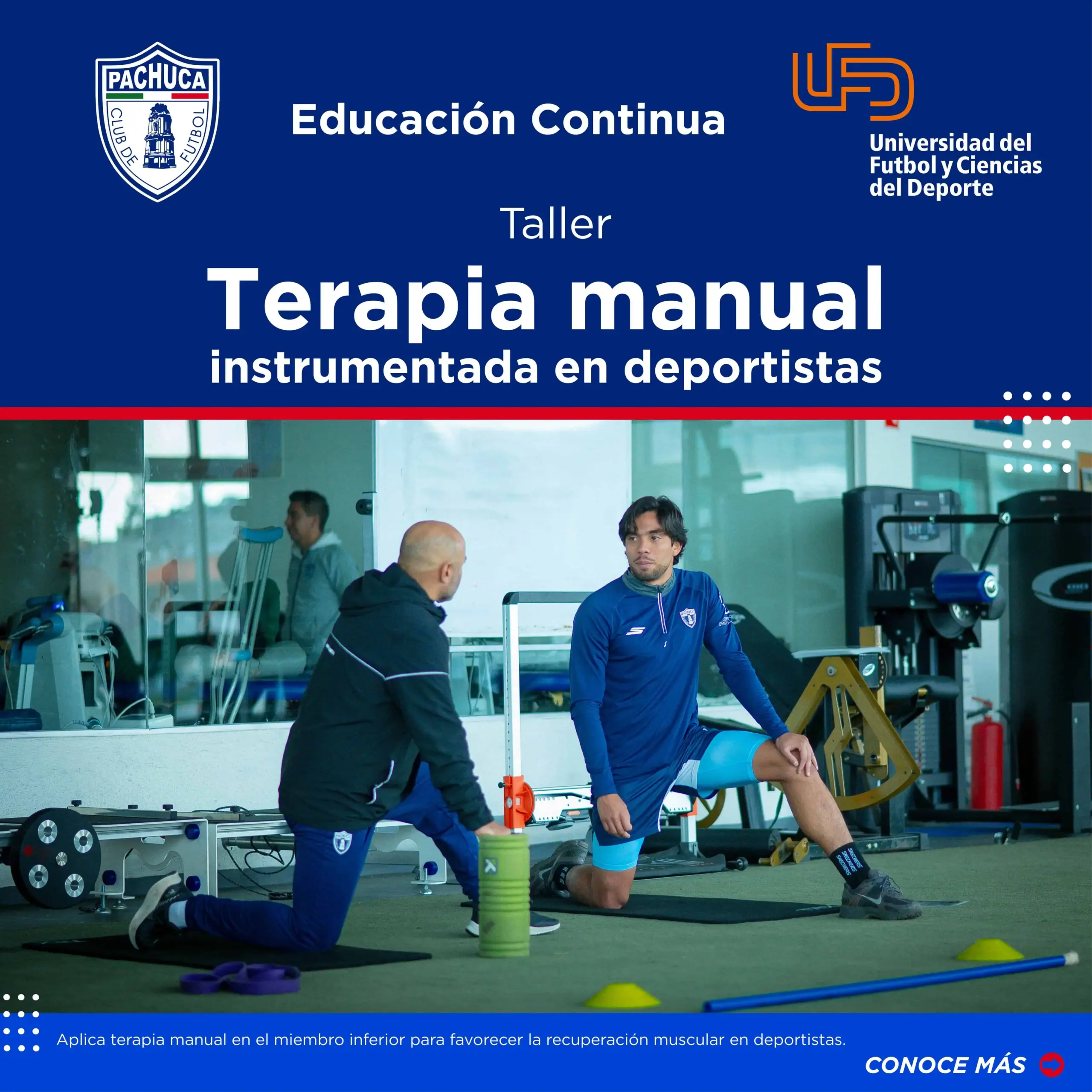 TERAPIA_MANUAL