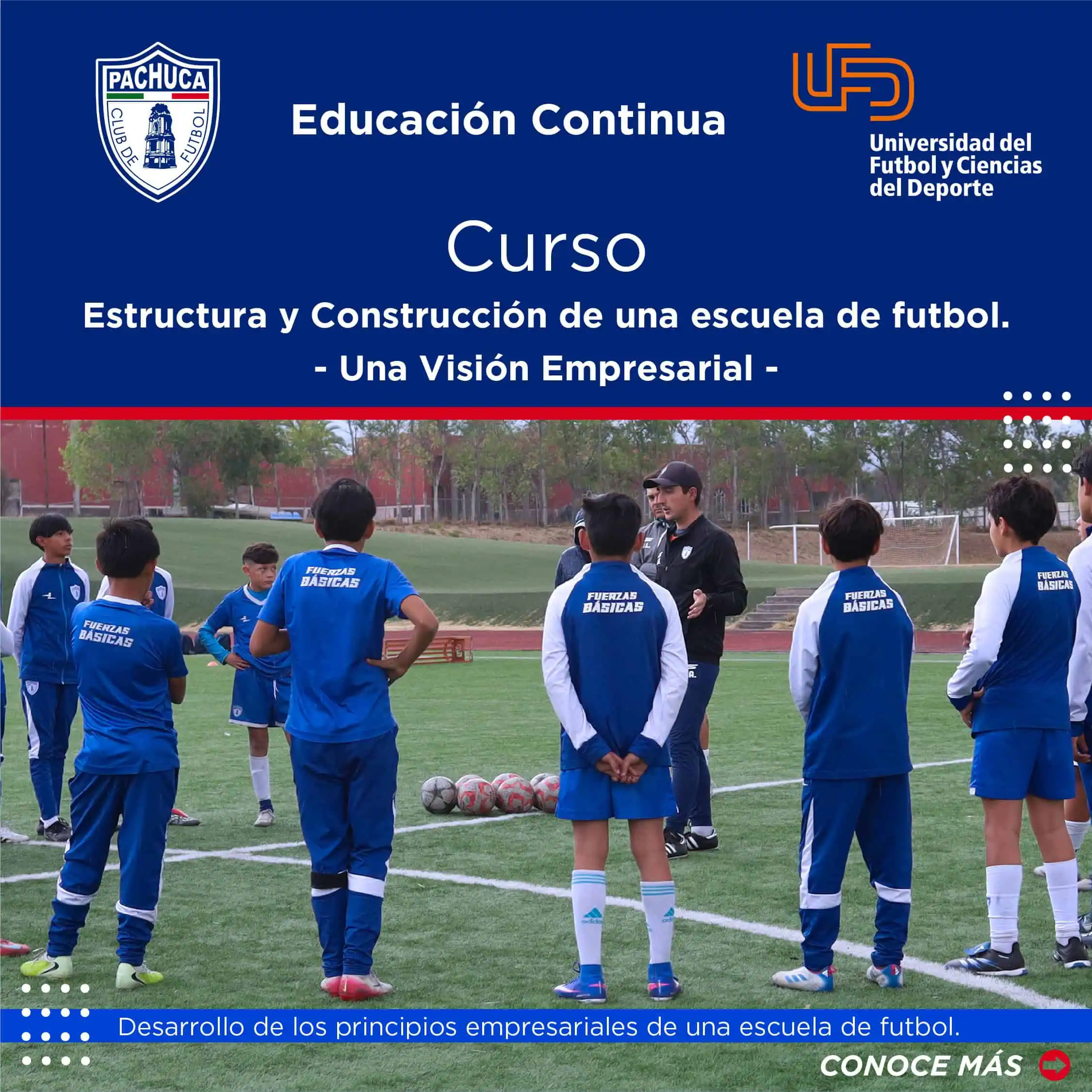 Estructura y construcciòn