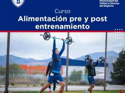 Curso Alimentación pre y post entrenamiento